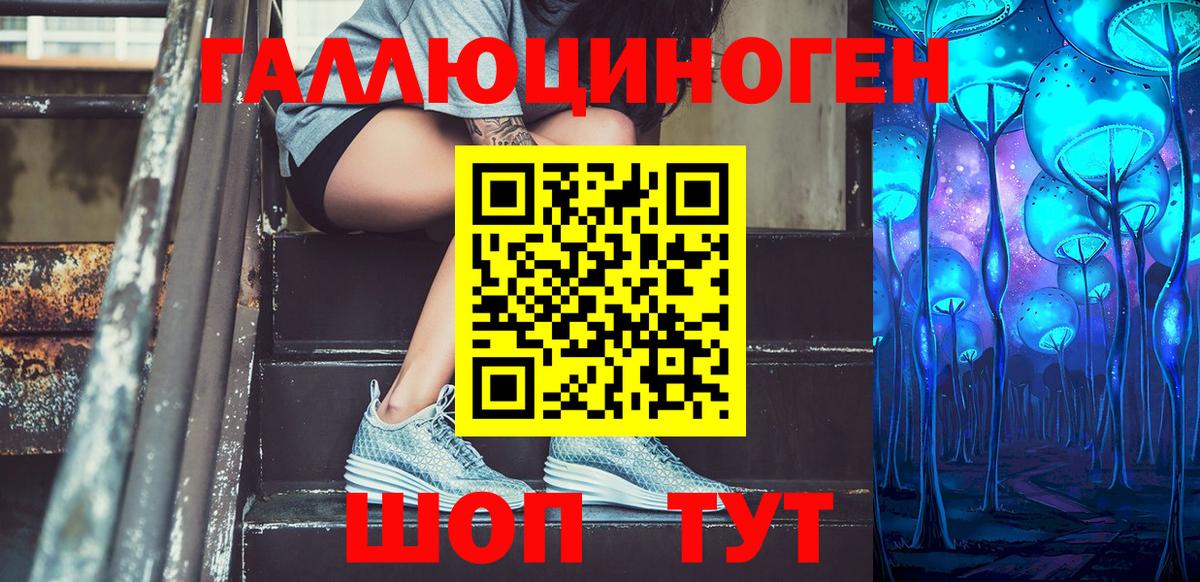 Галлюциногенные грибы Cubensis Губкинский
